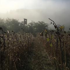 You are currently viewing Frodo – unser Verkaufsschlager im Herbst – so begehrt!