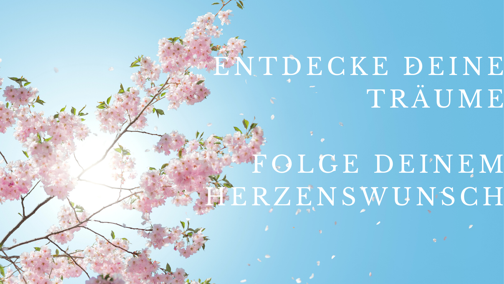 Read more about the article Wie wünschen ein frohes Osterfest!